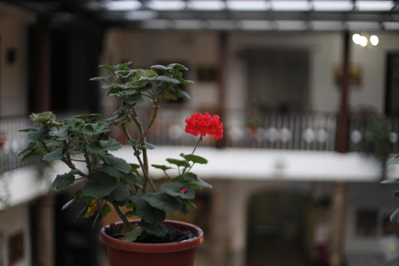 San Marcos Cultural & Guesthouse Quito Zewnętrze zdjęcie
